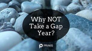 WHY NOT TAKE A GAP YEAR? ( Ex. 3, p. 165)