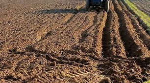 Весна… Село скучать не буде -  Як бджілки в вулику, заворушились люди!