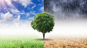Nature and weather (Form 5)