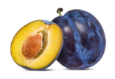 040291rs-e9f4-165x113.png
