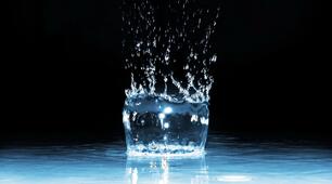 Гідросфера — водна оболонка Землі. Водне середовище існування. Пристосування організмів до життя у водному середовищі.