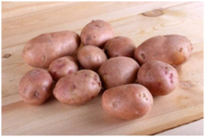 040294fr-c0df-230x154.png
