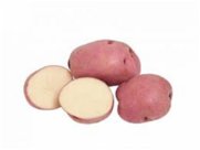 040294fw-ceef-181x136.png