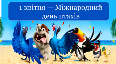 040295tg-6923-376x208.png