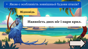 040295u6-f679-370x208.png