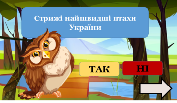 040295vf-6990-366x212.png