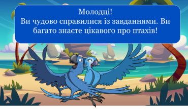 040295vp-2e8d-354x206.png
