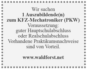 040296qz-4911-300x237.jpg