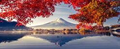 040296zl-74e5-349x144.jpg