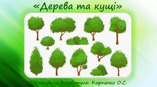 Презентація для дітей старшої групи на тему: "Дерева та кущі"