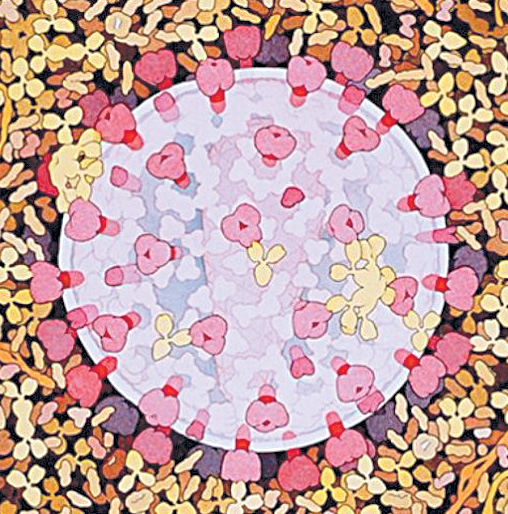 04029bm0-b382-508x514.png