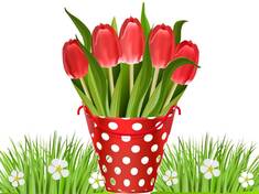 04029d11-90fb-235x176.jpg