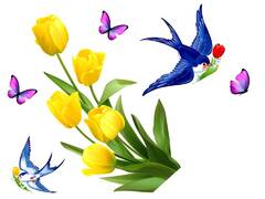 04029d1a-f916-240x180.jpg