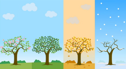 04029d7l-a66a-438x241.png