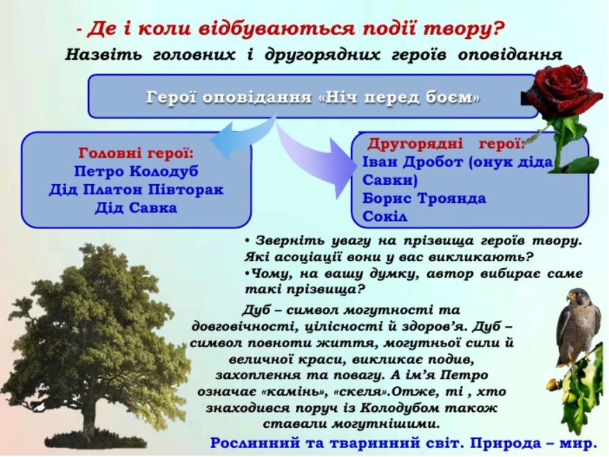 04029gjm-0026-877x658.png