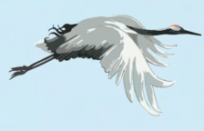 04029hc1-2f8f-224x144.png