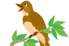 04029i0f-7930-224x148.png