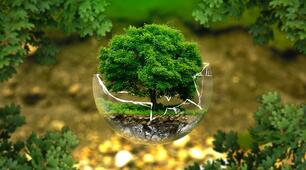 Test "Nature and the Environment"