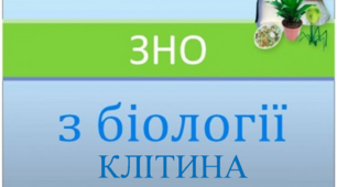 Заняття ІІ "Клітина, будова, функції та процеси"