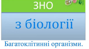 Заняття V "Готуємось до ЗНО разом. Багатоклітинні організми. Хребетні тварини.