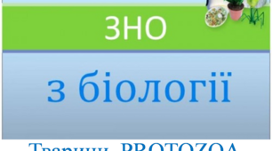 Заняття VII "Готуємось до ЗНО разом. Тварин. Protozoa"