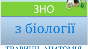 Заняття VIII "Готуємось до ЗНО разом. Тварини. Анатомія."