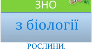 Заняття IХ "Готуємось до ЗНО разом. Рослини. Класифікація та різноманітність."
