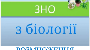 Заняття ХІІІ "Готуємось до ЗНО разом. Розмноження."