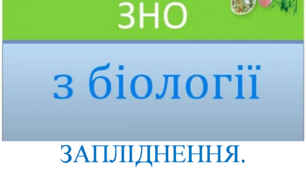 Заняття ХIV "Готуємось до ЗНО разом. Розмноження. Запліднення та онтогенез."