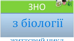 Заняття ХVІ "Готуємось до ЗНО разом. Життєвий цикл у рослин і тварин.  Ембріотехнології та клонування.."