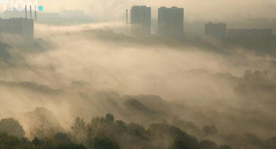 04029nn3-2952-388x210.jpg
