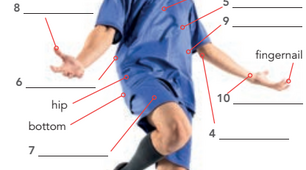 6.1 Parts of the body; injuries; body idioms