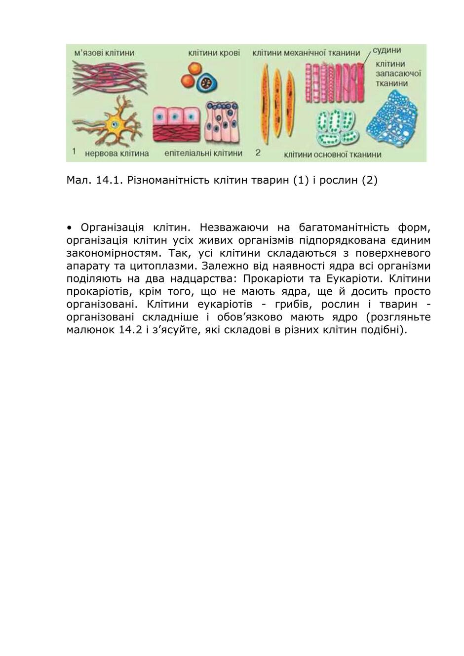 04029ye0-1d80-940x1329.jpg