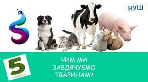 Презентація на тему: ЧИМ МИ ЗАВДЯЧУЄМО ТВАРИНАМ?