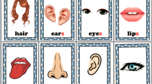 Картки з англійської мови на тему "Частини тіла (голова)". Flashcards "Parts of body (head)".