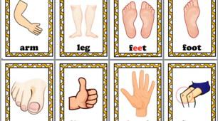 Картки з англійської мови на тему "Частини тіла". Flashcards "Parts of body".