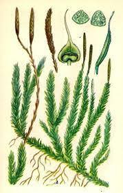0402a0ub-3e41-179x281.jpg
