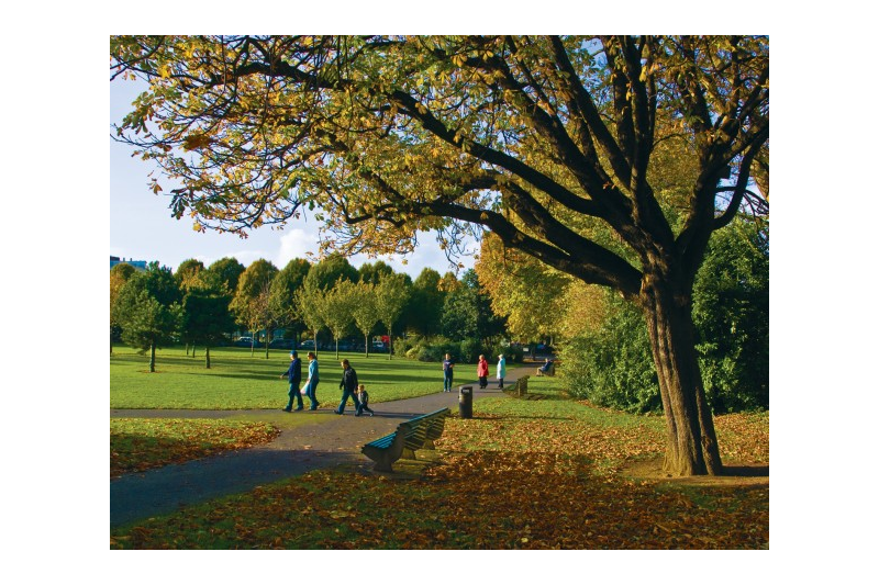 0402a0um-991d-800x533.png