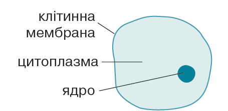0402a2uv-9f6b-455x223.png