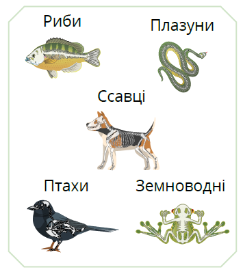 0402a4om-48ed-355x401.png