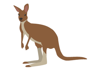 0402a4yh-aa9c-316x252.png