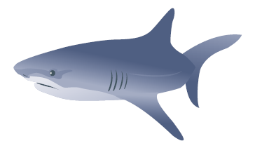 0402a4yn-3d2e-374x211.png