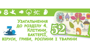 (Копія) Узагальнення до Розділу 4 "Клітини, бактерії, віруси, гриби, рослини і тварини"