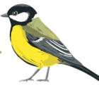 0402a5g9-438f-140x132.png