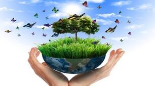 Антропічний вплив на біорізноманіття