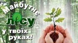 Лепбук "Збережемо ліс - збережемо природу"