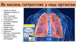 Презентація "Як кисень потрапляє у наш організм"