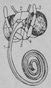0402aatt-73e0-174x295.png