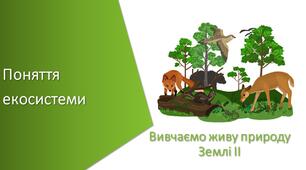 Презентація з уроку Пізнаємо природу для 5 класу на тему «Поняття екосистеми. Природні і штучні екосистеми»