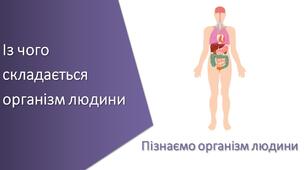 Презентація з уроку Пізнаємо природу для 5 класу на тему «Із чого складається організм людини»